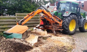 Boomstronk uitfrezen - Boomstronk verwijderen - Boomkapbedrijf De Winter Wirdum Groningen - Boomkap Stobbenfrezen Versnipperen