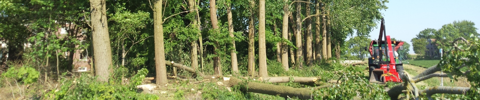 Boomkapbedrijf De Winter Wirdum Groningen - Boomkap Stobbenfrezen Versnipperen