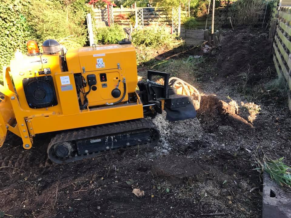 boomkap-groningen-stobbenfrezen-boomstronk-verwijderen-2