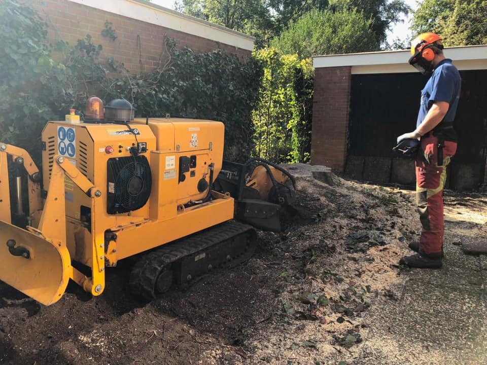 boomkap-groningen-stobbenfrezen-boomstronk-verwijderen-2